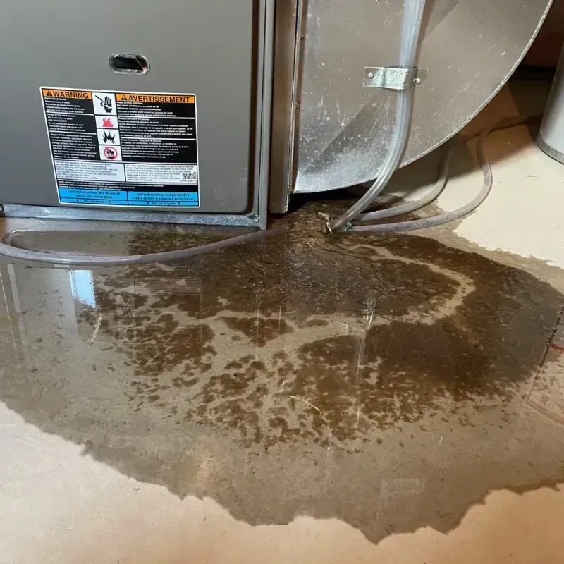 Appliance Leak Cleanup in Hertford, NC